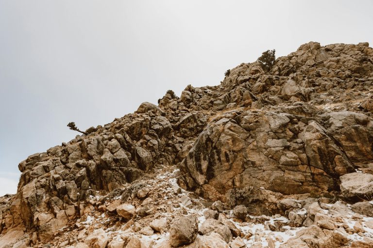 pexels roman odintsov 6585290